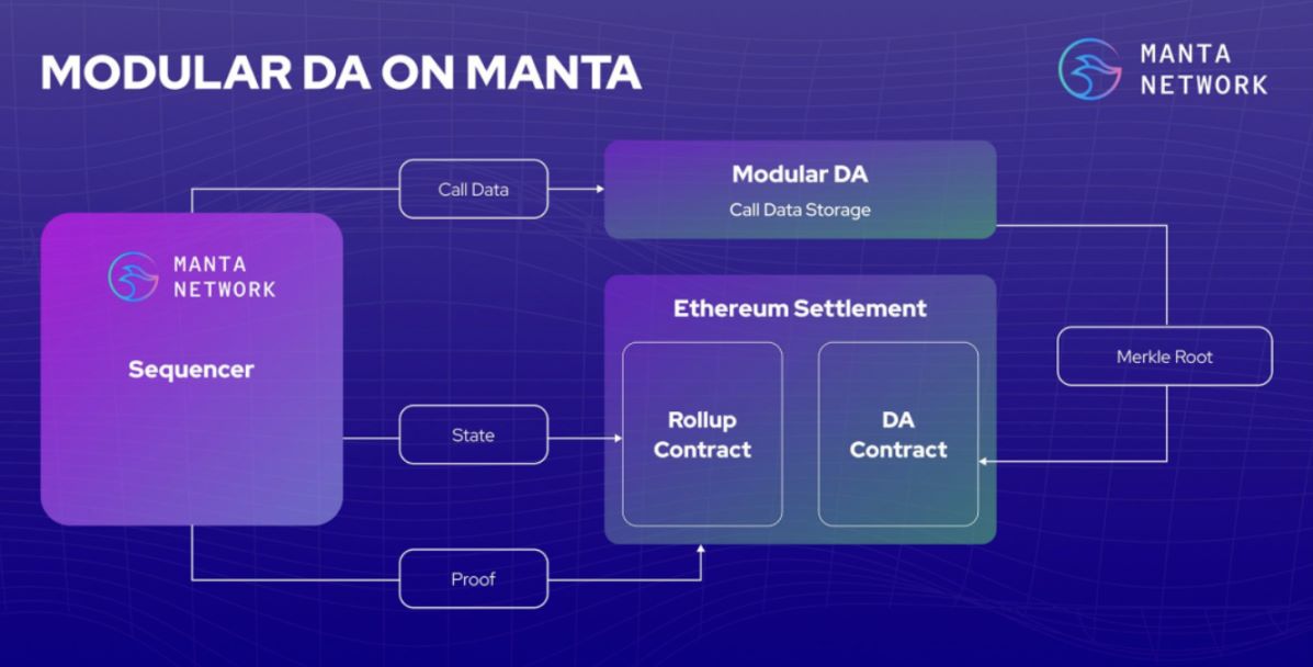 Manta Network架构